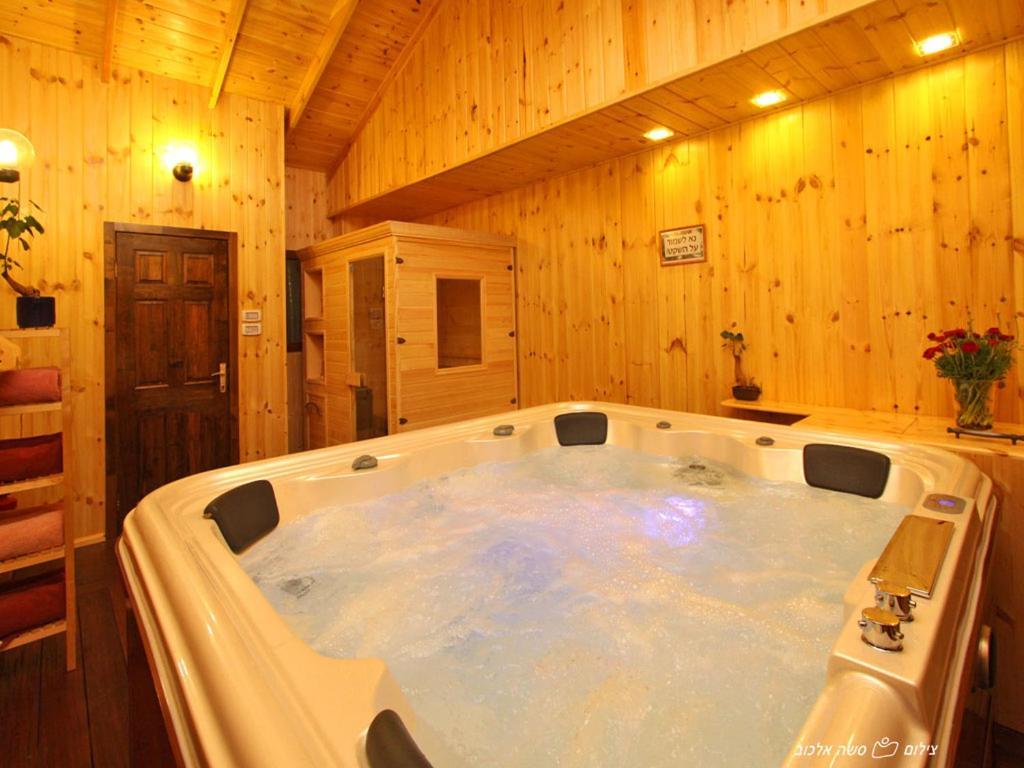 Suites & Spa Galilee Kirjat Szemona Zewnętrze zdjęcie